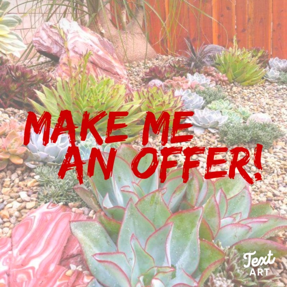 Offers welcome!